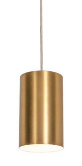 Tyke One Light Pendant in Satin Brass (162|TYKP04MBSB)