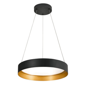 Reveal LED Pendant in Black and Gold (162|RVP20L30D1BKGD)