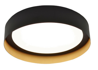 Reveal LED Flush Mount in Black and Gold (162|RVF121400L30D1BKGD)