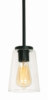 Joanna One Light Pendant in Textured Black (162|JNNP05MBBK)