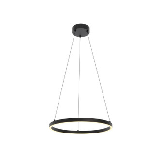 Glo LED Pendant in Black (162|GLOP24L30D1BK)