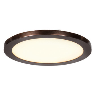 Disc LED Flush Mount in Brushed Steel (18|20812LEDD-BS/ACR)