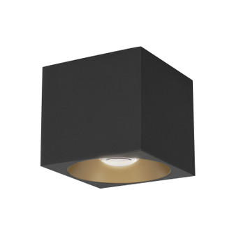 Stout LED Flush Mount in Black (16|86213BK)