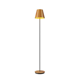 Conical One Light Floor Lamp in Teak (486|3053.12)