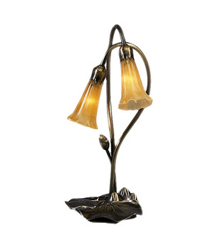 Amber Two Light Accent Lamp in Mahogany Bronze (57|12980)