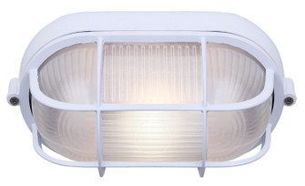 One Light Outdoor Lantern in White (387|IOL16WH)
