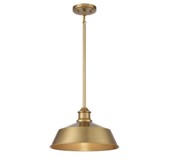 One Light Pendant in Natural Brass (446|M7021NB)