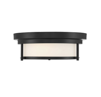 Two Light Flush Mount in Matte Black (446|M60062MBK)