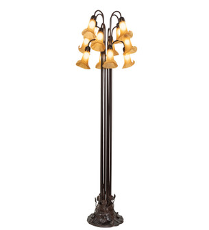 Amber 12 Light Floor Lamp in Mahogany Bronze (57|251697)