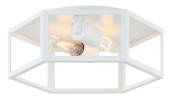 Creed Two Light Ceiling Mount in White (423|X64502WH)