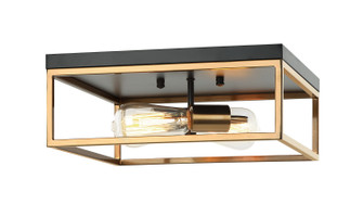 Clarke Two Light Ceiling Mount in Black & Aged Gold Brass (423|M15542BKAG)