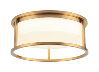 Framerton Two Light Ceiling Mount in Aged Gold Brass (423|M15002AG)