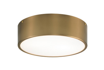 Snare Two Light Flush Mount in Aged Gold Brass (423|M12702AG)