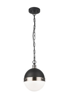 Torino One Light Pendant in Brushed Nickel (423|C61801BNOP)