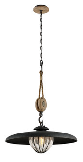 Murphy One Light Pendant in Forged Iron (67|F4906-FOR)
