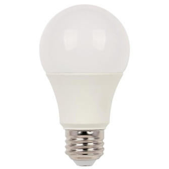 Light Bulb in Soft White (88|5228100)