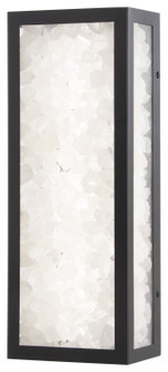Salt Creek LED Outdoor Wall Sconce in Coal (7|8171-66A-L)
