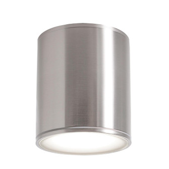 Everly LED Outdoor Ceiling Mount in Satin Nickel (162|EVYW0405LAJD2SN)