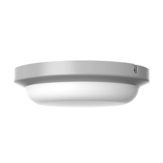 Dean LED Outdoor Flush Mount in Textured Grey (162|DEAW08LAJENTG)