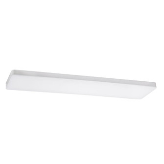 Addison LED Linear in White (162|ADDL1248LAJD1WH)