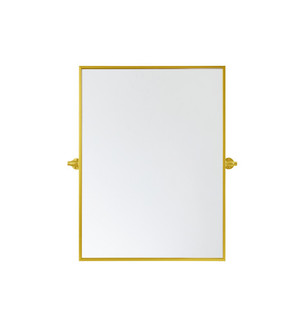 Everly Mirror in gold (173|MR6E2432GD)