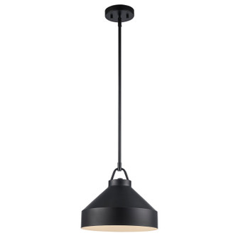 One Light Pendant in Black (110|PND-2242 BK)