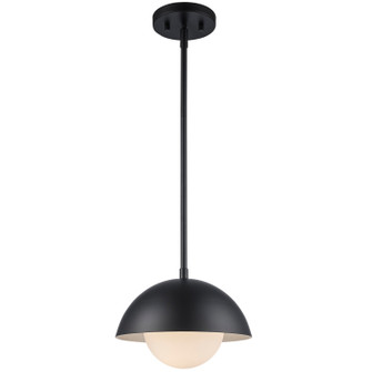 One Light Pendant in Black (110|PND-2239 BK)