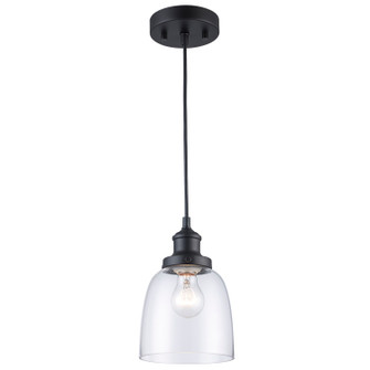 One Light Pendant in Black (110|PND-1081 BK)