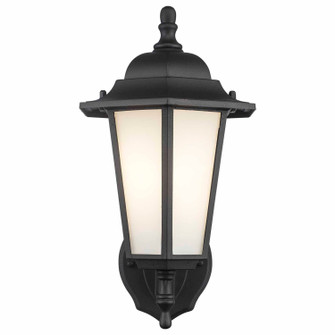 One Light Outdoor Wall Mount in Black (110|4055 BK-FR)