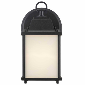 One Light Outdoor Wall Mount in Black (110|40455 BK-FR)