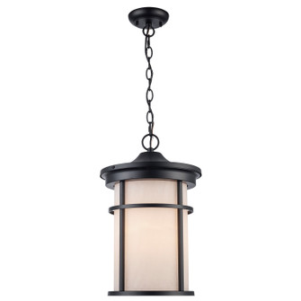 One Light Outdoor Hanging Lantern in Black (110|40386 BK-FR)