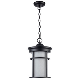 One Light Outdoor Hanging Lantern in Black (110|40385 BK-FR)