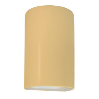 Ambiance One Light Outdoor Wall Sconce in Muted Yellow (102|CER-5260W-MYLW)