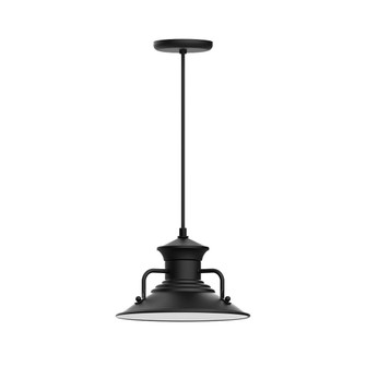 Homestead One Light Pendant in Black (518|PEB142-41-C25-G06)