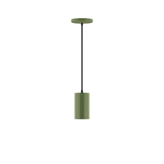 Axis One Light Pendant in Fern Green (518|PEB425-22-C20)