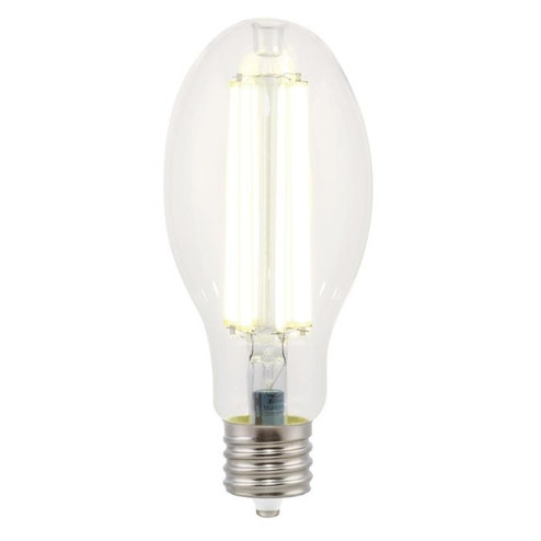 Light Bulb in Clear (88|5234100)