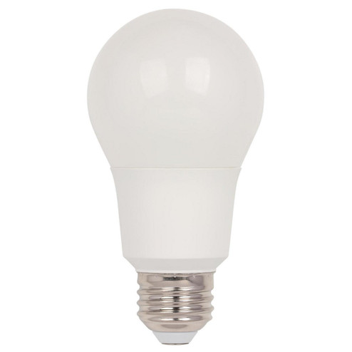 Light Bulb in Soft White (88|4514100)