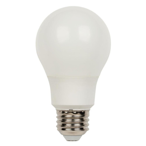 Light Bulb in Soft White (88|4369700)