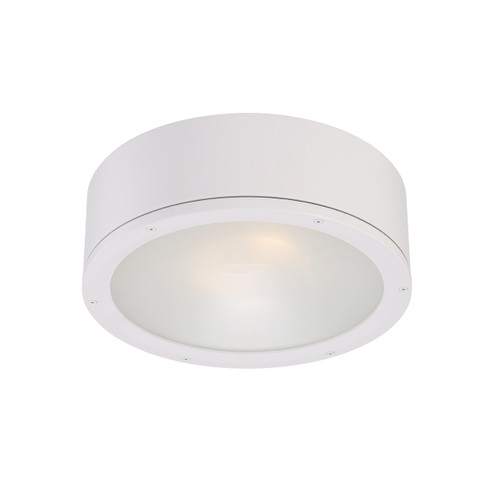 Tube LED Flush Mount in White (34|FM-W2612-WT)