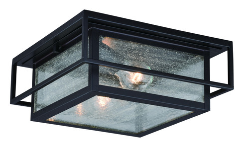 Hyde Park Two Light Outdoor Flush Mount in Espresso Bronze (63|T0470)