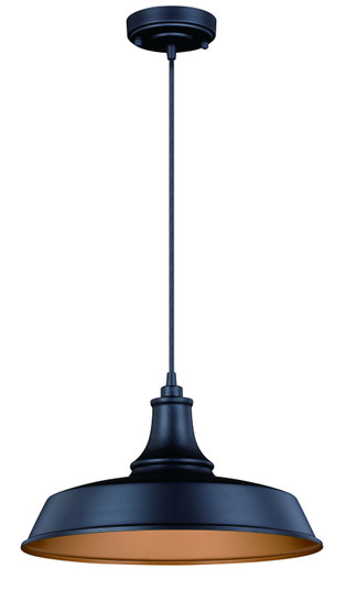 Dorado One Light Outdoor Pendant in Dark Bronze and Light Gold (63|T0373)