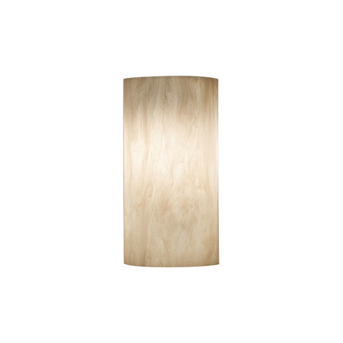 Basics LED Outdoor Wall Sconce (410|9271-TS-02)