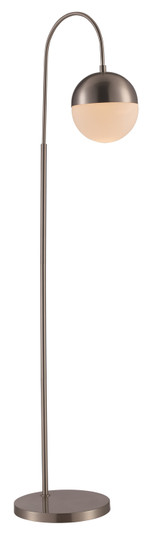 One Light Floor Lamp in Brushed Nickel (110|RTL-9066 BN)