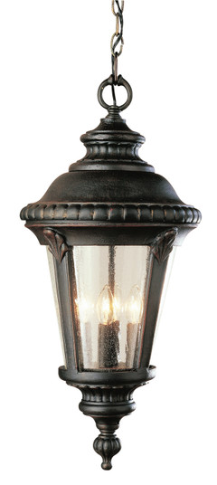 Commons Three Light Hanging Lantern in Black (110|50491 RT)