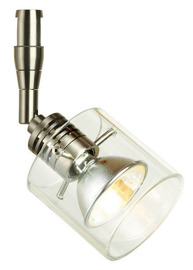 Action Swivel Head in Polished Nickel (408|DA205CRPNM5J)