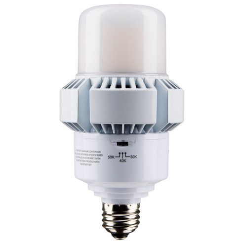 Light Bulb in White (230|S13162)