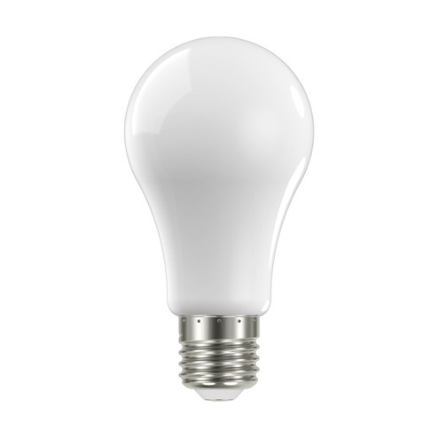 Light Bulb in Soft White (230|S12433)