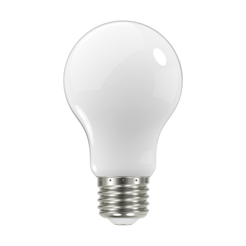 Light Bulb in Soft White (230|S12420)