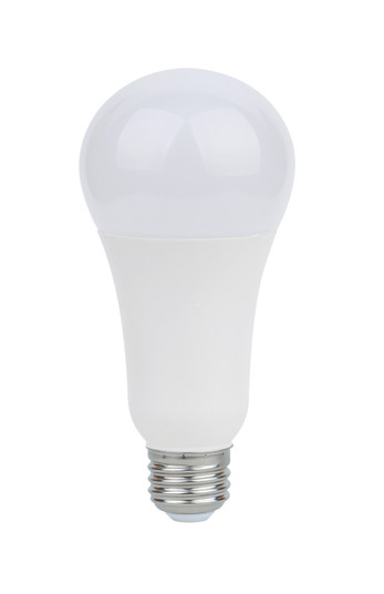 Light Bulb in White (230|S11329)