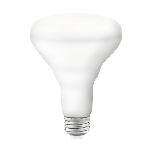 Light Bulb in White (230|S11257)